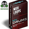 TheLoopLoft厂牌 Midi鼓素材 Drum Loop Vol 2